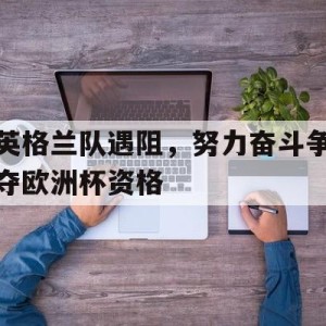 官网入口-包含英格兰队遇阻，努力奋斗争夺欧洲杯资格的词条