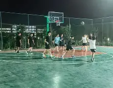 包含家族传承篮球技巧，继承球神传统的词条