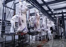 此役杀猪宰牛!凯尔特人大胜小牛 此役杀猪宰牛!凯尔特人大胜小牛